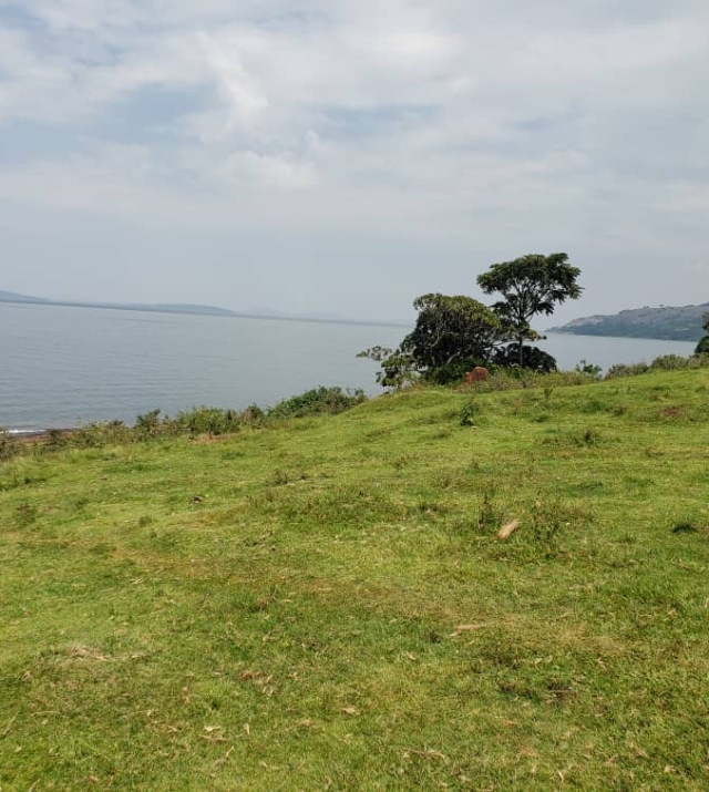 WhatsApp Image 2022-07-15 at 8.53.51 PM.jpeg